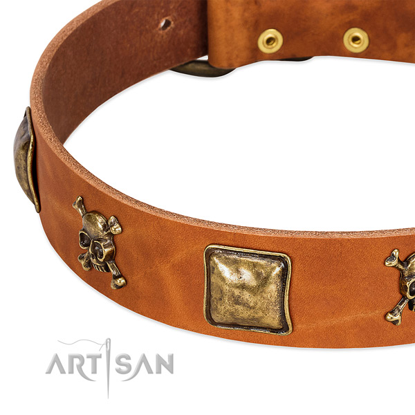 FDT Artisan dog collar adorned with skulls and crossbones
in combination with
squares