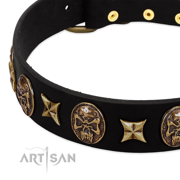 Old bronze-like stars and skulls on black leather FDT
Artisan collar