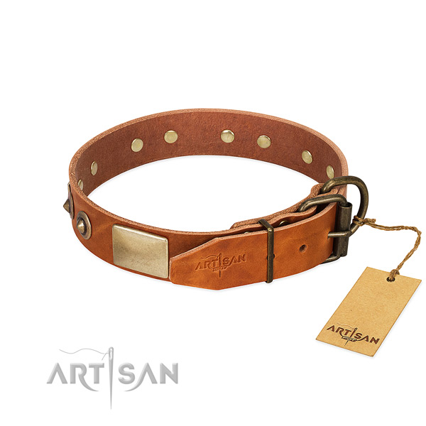 Handmade Tan Leather Dog Collar with Riveted Hardware