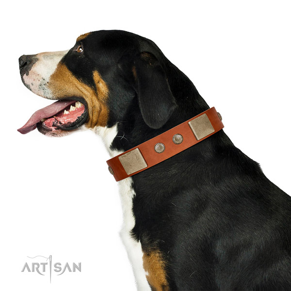 Soft Leather Dog Collar for Daily Use