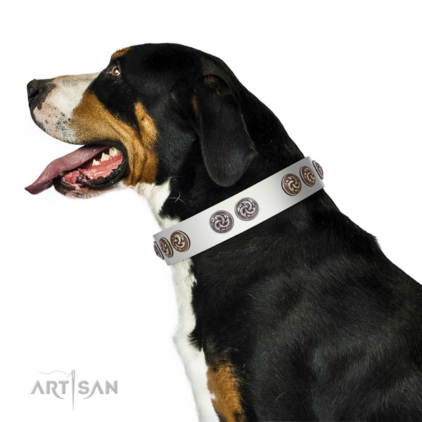 Swiss Mountain Dog comfortable genuine leather dog collar
with studs