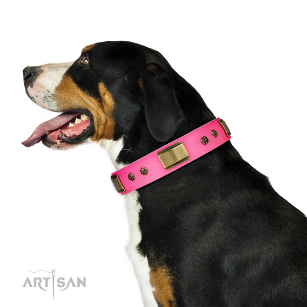 Swiss Mountain Dog everyday use dog collar of flexible leather