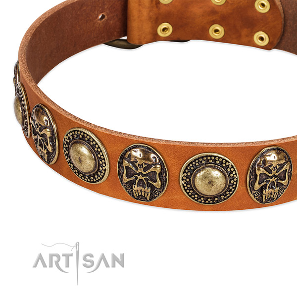 Tan Leather Dog Collar with Conchos and Medallions for Fancy Walking