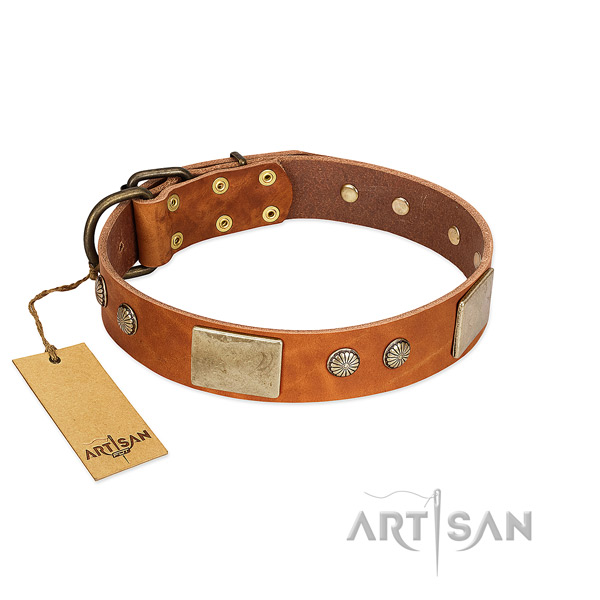 Chic Leather Dog Collar Adorned with Plates and Studs