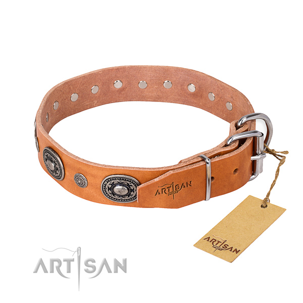 Timeless tan leather dog collar