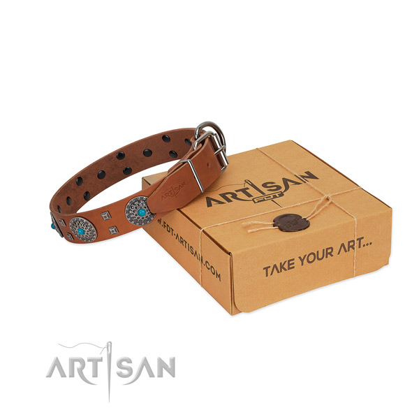 Tan leather dog collar for extraordinary walking