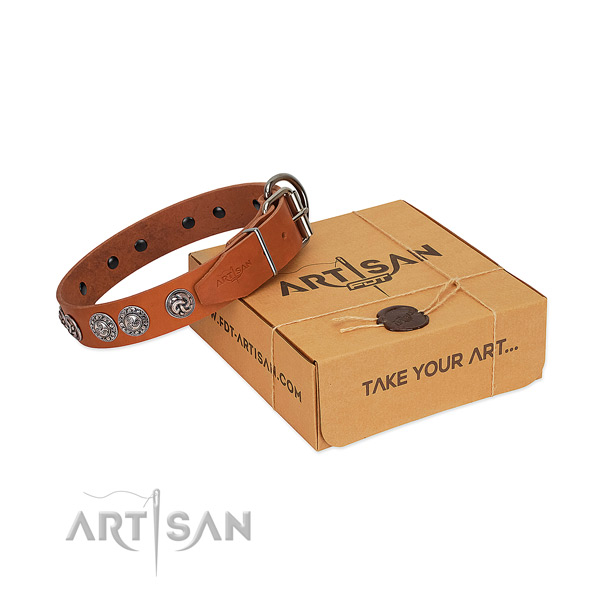 Tan leather dog collar with bulging circles