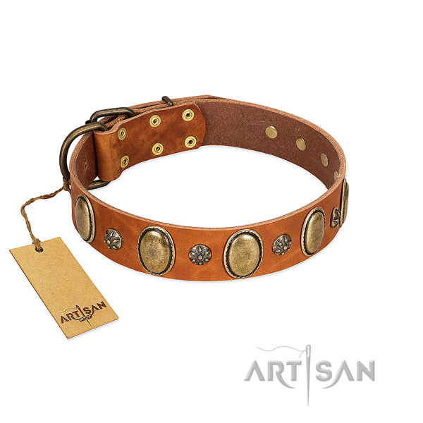 Posh Design Tan Leather Dog Collar with Plates and Studs