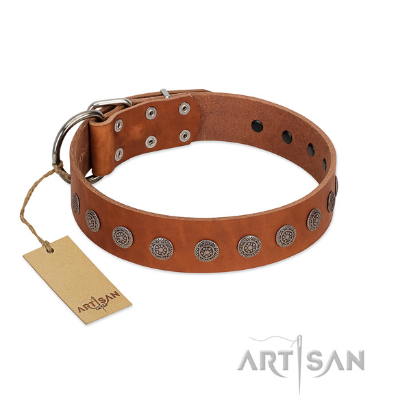 Fabulous FDT Artisan leather dog collar