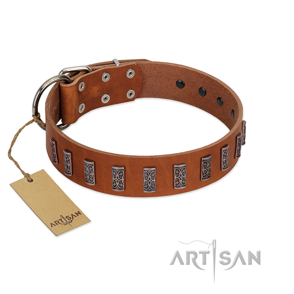 Fabulous FDT Artisan leather dog collar