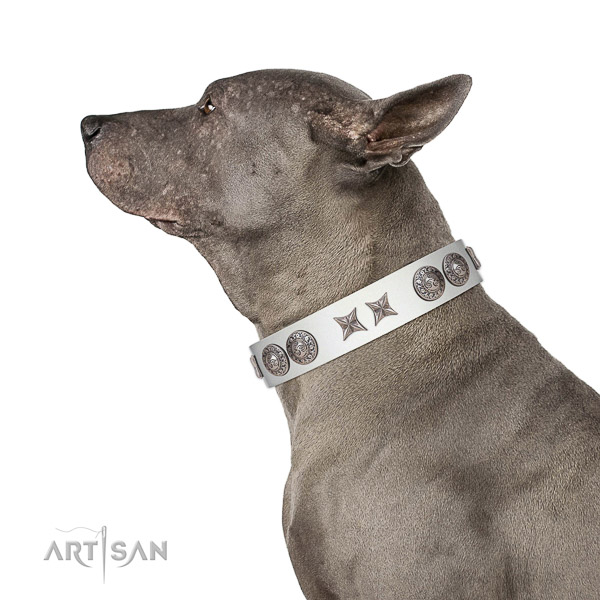 Incredible Quality leather Thai Ridgeback Collar for Easy
Handling