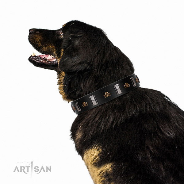 Extraordinary walking black leather Tibetian Mastiff
collar with chic decorations