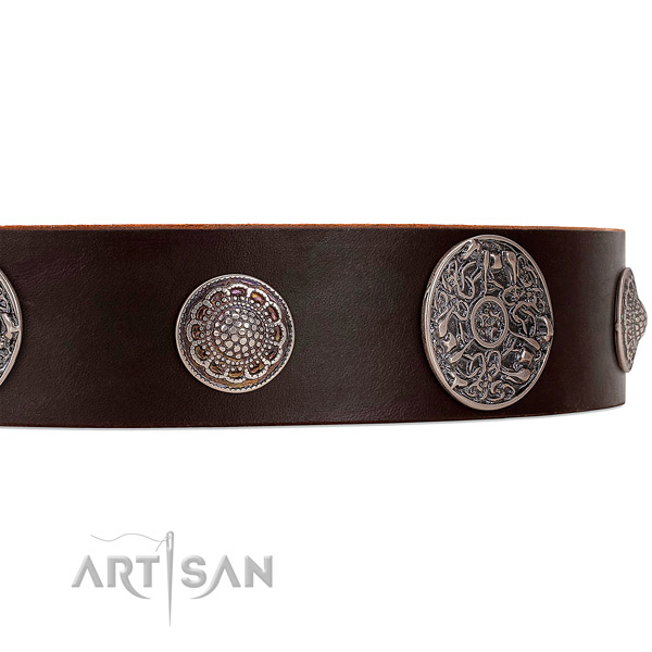 Brown leather dog collar with riveted ornate brooches