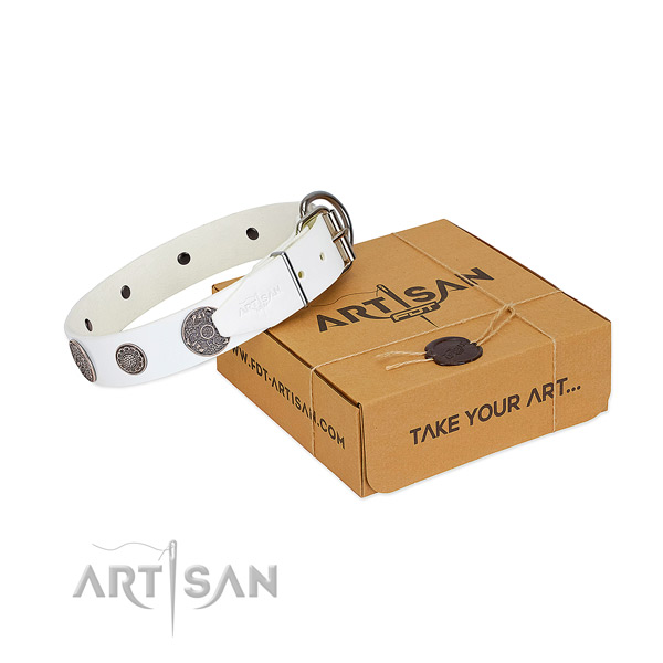 FDT Artisan leather dog collar for stylish walks