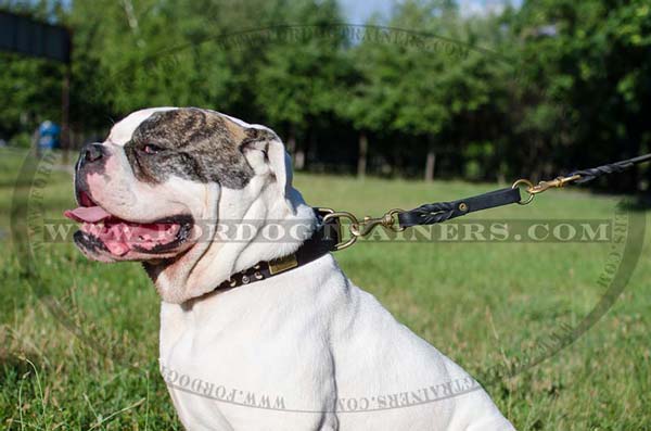 Leather American Bulldog Pull Tab for training