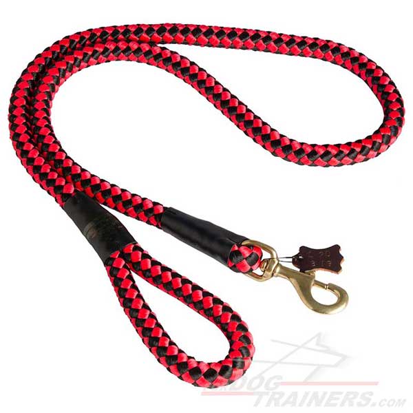 Practical nylon cord dog lead