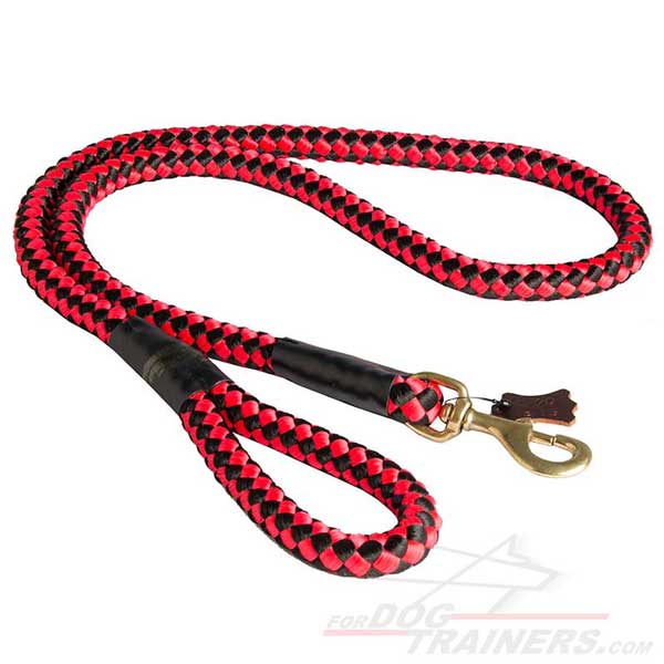 Practical Nylon Dog Leash