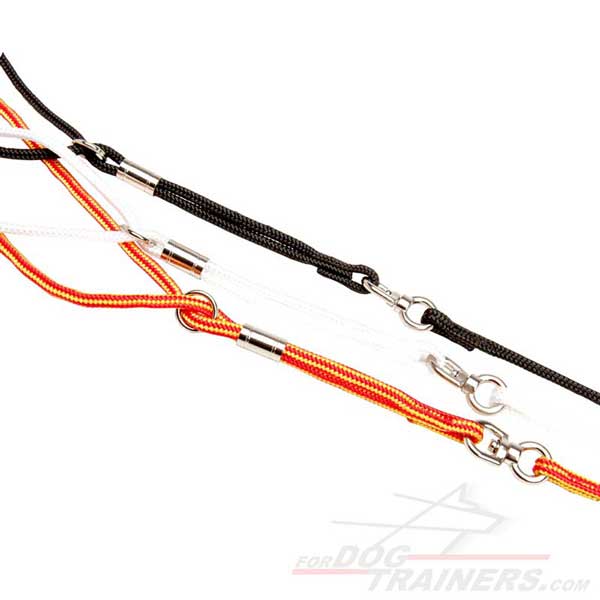 Show Dog Nylon Leashes with Swivel