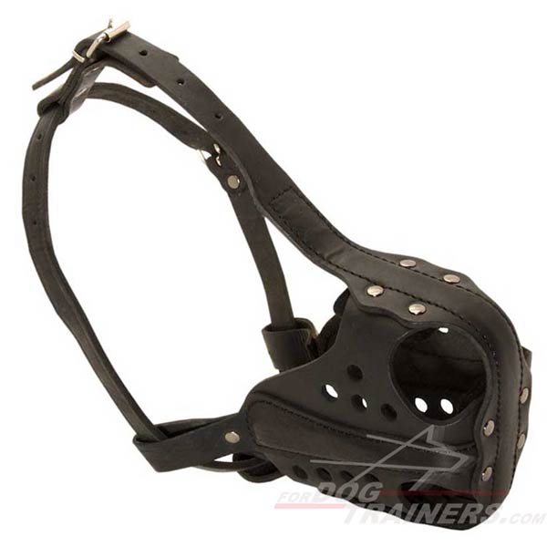 New leather dog muzzle