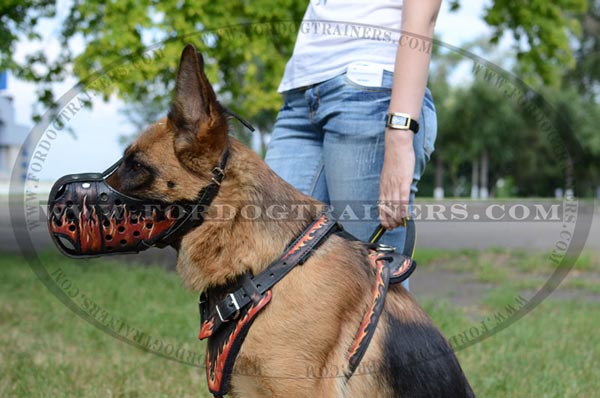 Walking in style dog muzzle