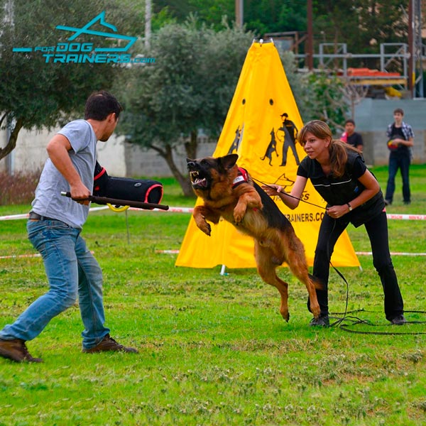 Training Dog Stick with Leather Covered Handle