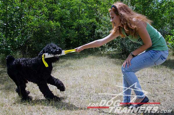 Fire Hose Bite Tug with Two Handles for Black Russian Terrier