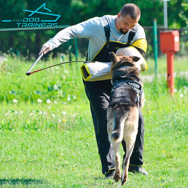 Training Dog Whip with Drop and Popper