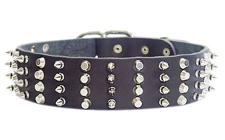 Walking/Training Wide Leather Dog Collar with Nickel-Plated Spikes and Pyramids