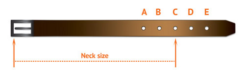 Sizing Diagram for
Buckle Collars