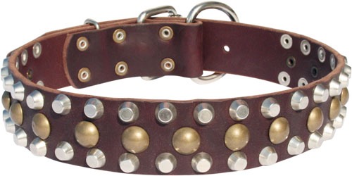 Extraordinary Leather Collar with Pyramids and Studs for Stylish Dogs - Click Image to Close