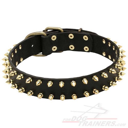 "Unveiled Luxury" Classic Design Walking Leather Dog Collar with Spikes