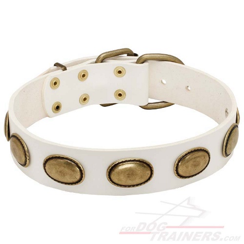 White Leather Dog Collar with Brass Plates for Walking - Click Image to Close