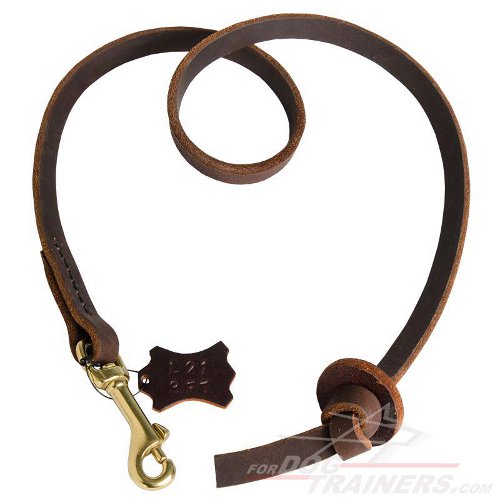 Professional Pocket Power Walker Leather Dog Leash