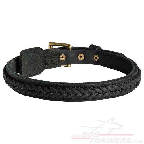 Marvellous Braided Leather Dog Collar - Click Image to Close