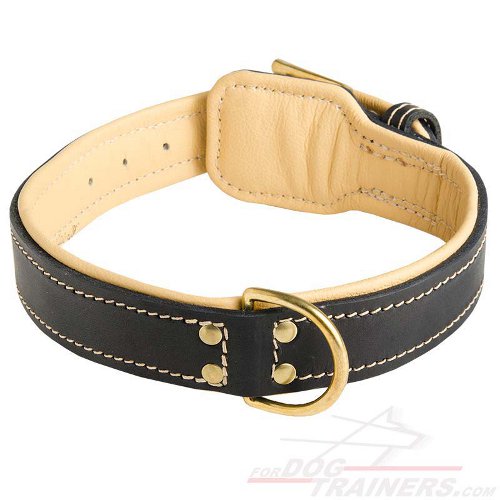 Royal Nappa Padded Handmade Leather Dog Collar for Fashion Walking