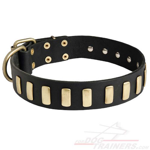 Fashion Studded Dog Collar with Sparkling Plates for Walking - Click Image to Close