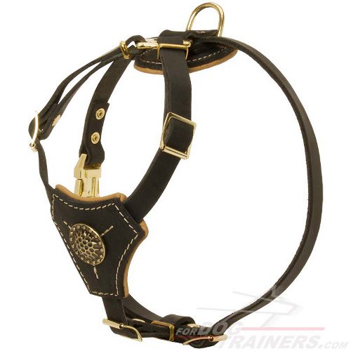 Tracking / Walking Leather Dog Harness for Puppies and Small Breeds