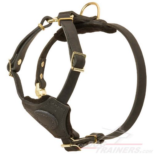 Leather Dog Harness for Puppy and Small Breeds - Click Image to Close