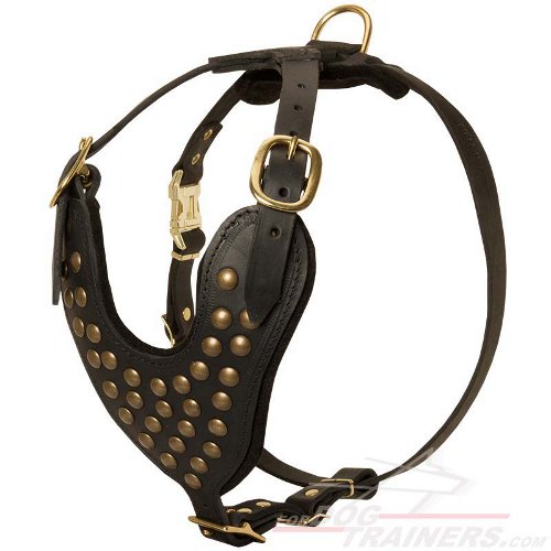 Studded Leather Dog Harness for Walking and Training