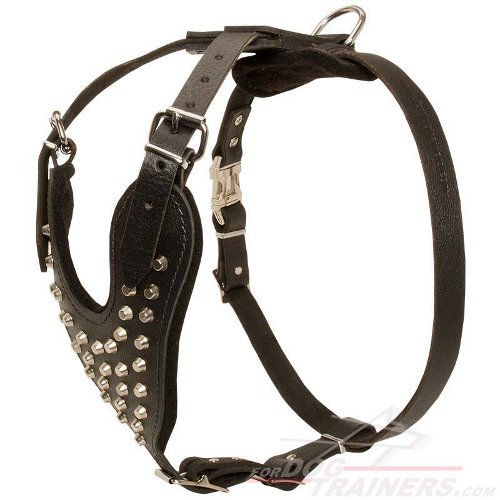 Studded Leather Dog Harness for Stylish Walking - Click Image to Close