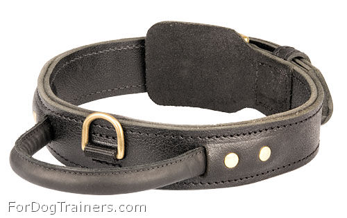 Extra Durable 2 Ply Leather Dog Collar with Handle - Click Image to Close