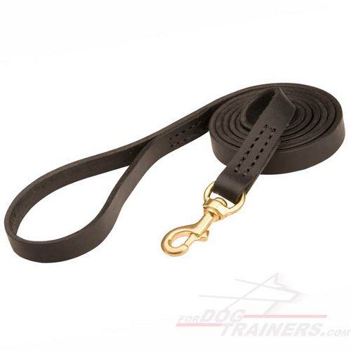 Softly Stitched Leather Dog Leash