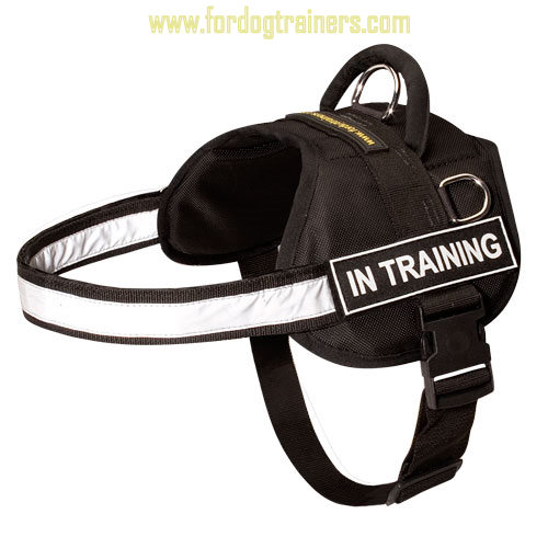 Service Nylon Dog Harness for Any Weather with Reflective Strap - Click Image to Close