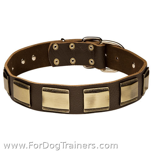 New design leather
dog collar