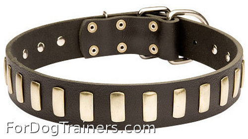 Chic Style Leather Dog Collar with Shiny Brass Plates - Click Image to Close