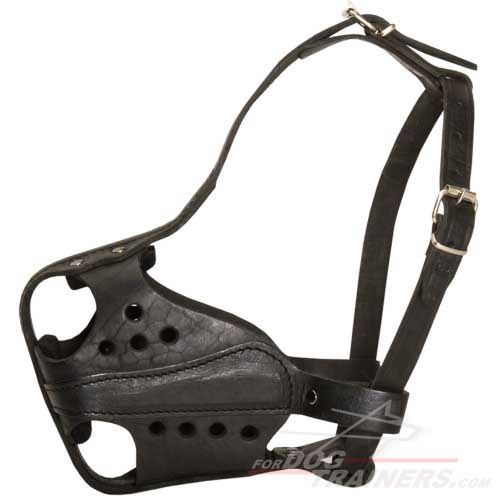 New Best Dog Muzzle of Hard Leather for Working Dogs