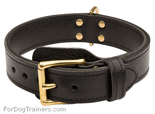 2 ply Leather Agitation Dog Collar - Click Image to Close