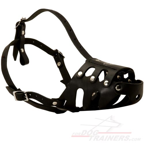 Fully Adjustable Leather Muzzle - No Bite Dog Muzzle - Click Image to Close