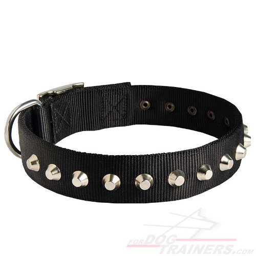 Fashionable Nylon Dog Collar