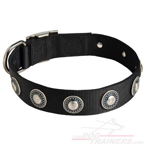 Designer Nylon Dog Collar with Silver-like Circles